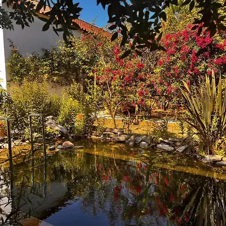 Ip7 - House In Nature Landhaus Carvalhal (Leiria)