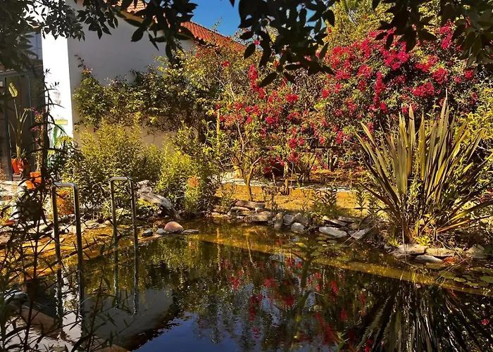 Ip7 - House In Nature Casa de Campo Carvalhal (Leiria)