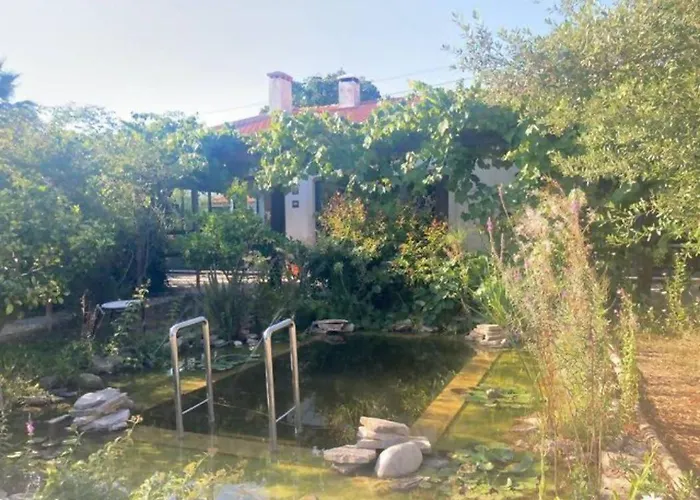 Ip7 - House In Nature